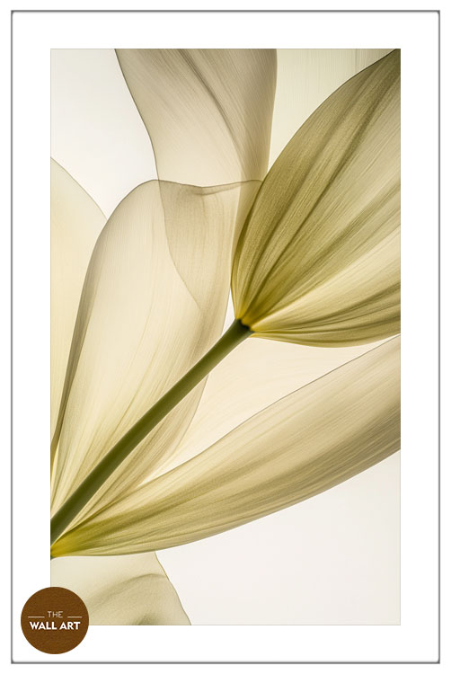 images/products/transparent_leaves_i/transparent_leaves I_WHITE_PWB.jpg